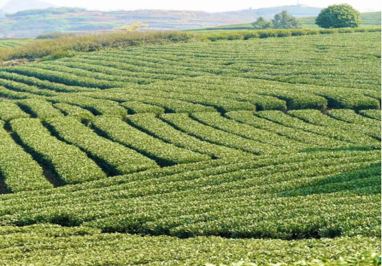 1699060159972.png 微信图片_20231104090621.png